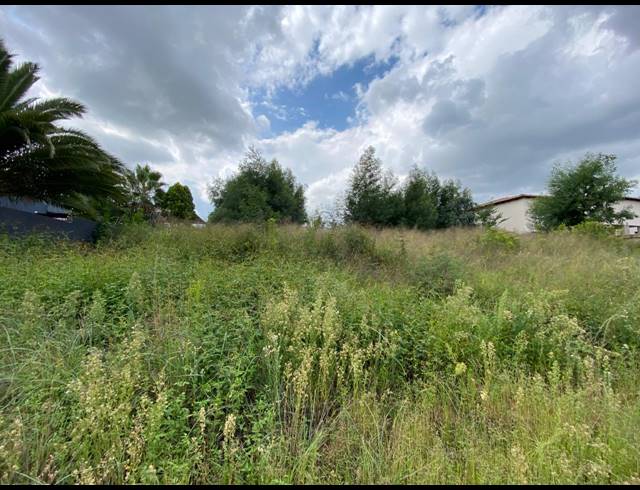 991M² VACANT LAND FOR SALE IN OHENIMURI